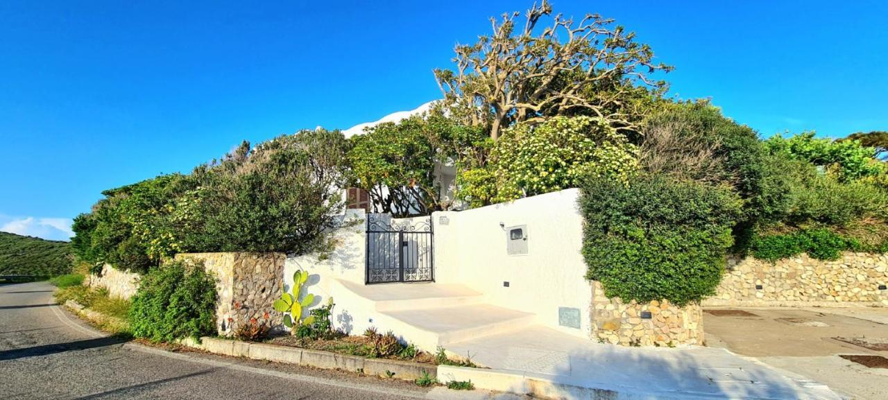 Guest House Villa Il Gabbiano Ponza Kültér fotó