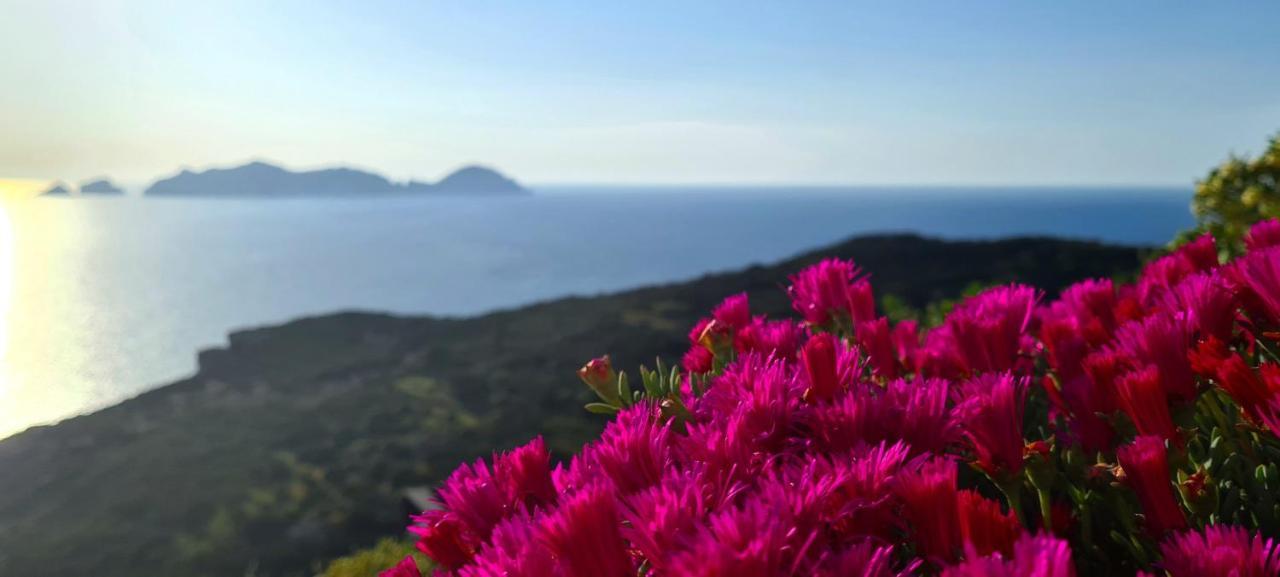 Guest House Villa Il Gabbiano Ponza Kültér fotó