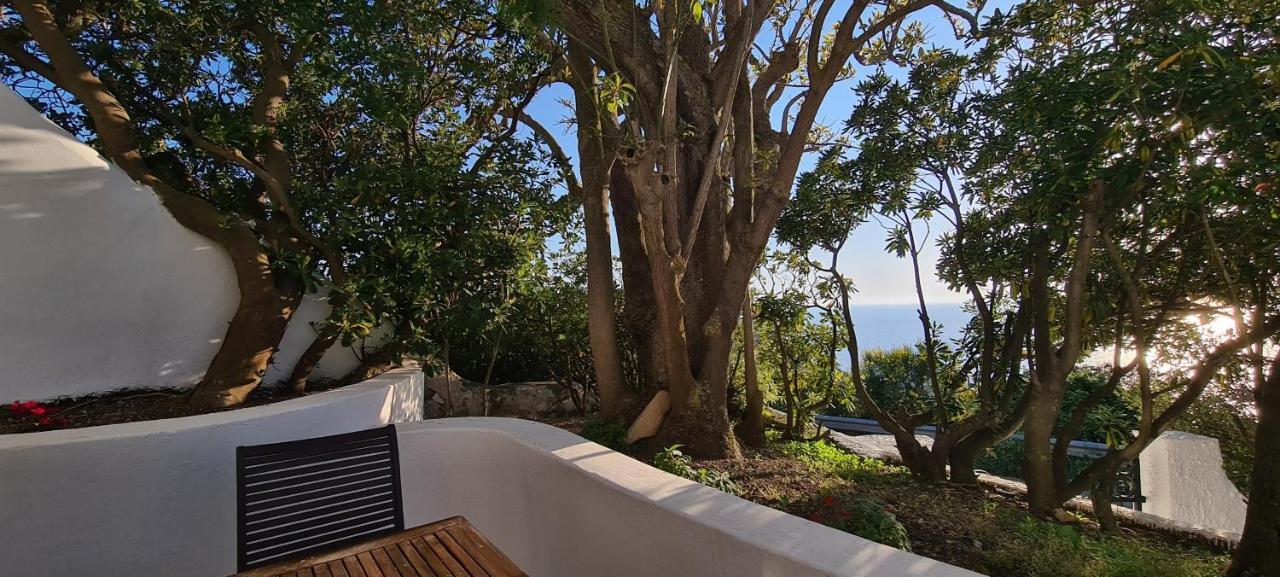 Guest House Villa Il Gabbiano Ponza Kültér fotó